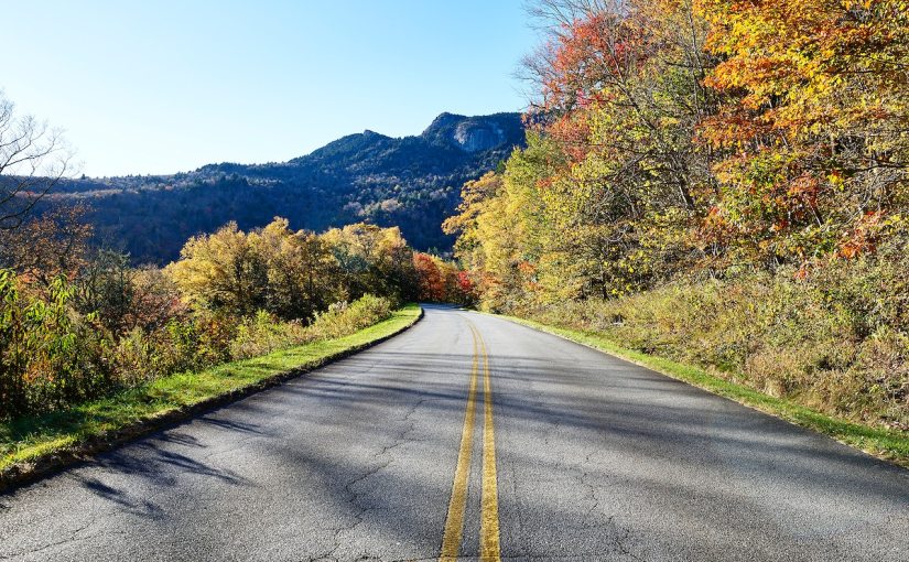 Falling in Love With&nbsp;Virginia